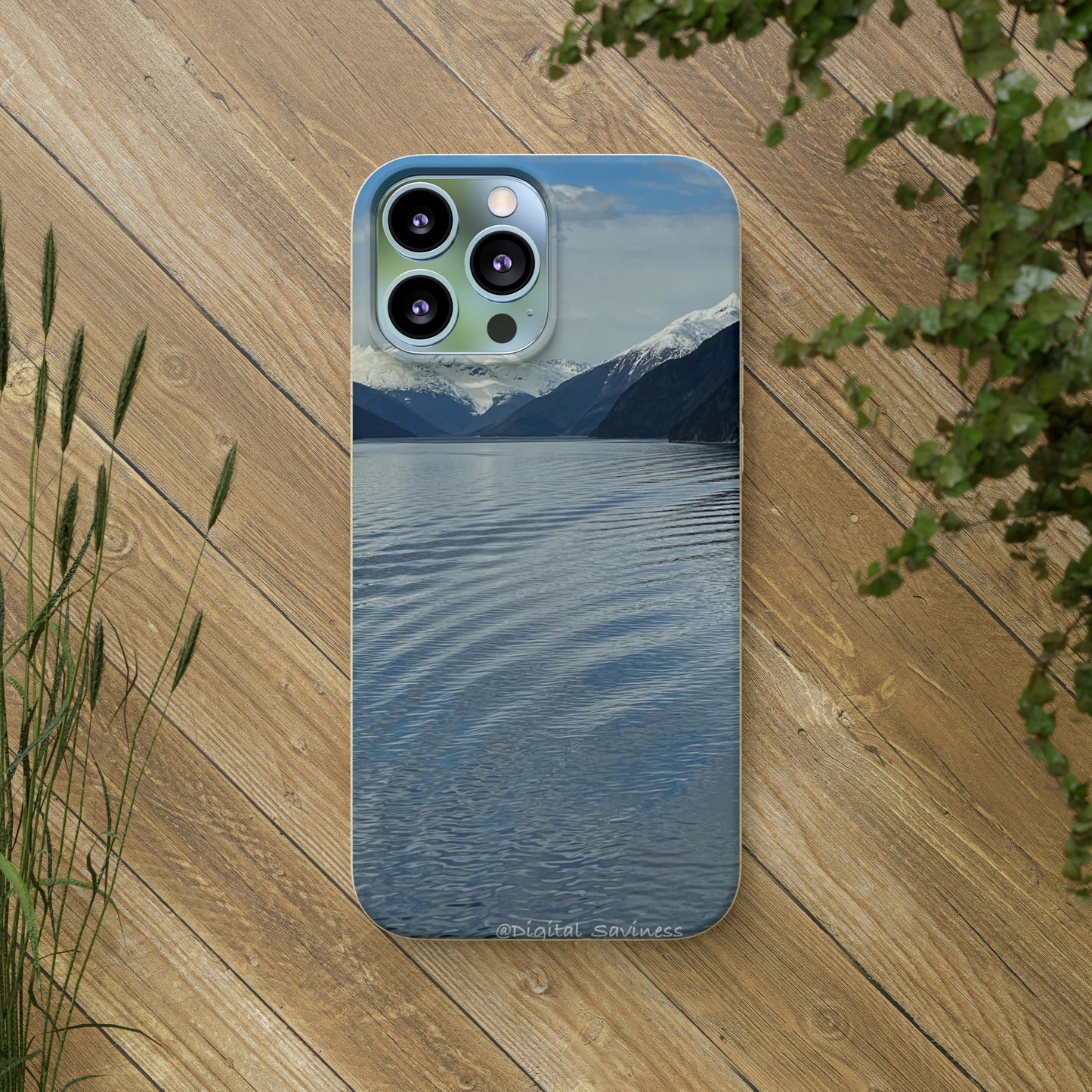 Bio-Cases, Icy Strait Alaska