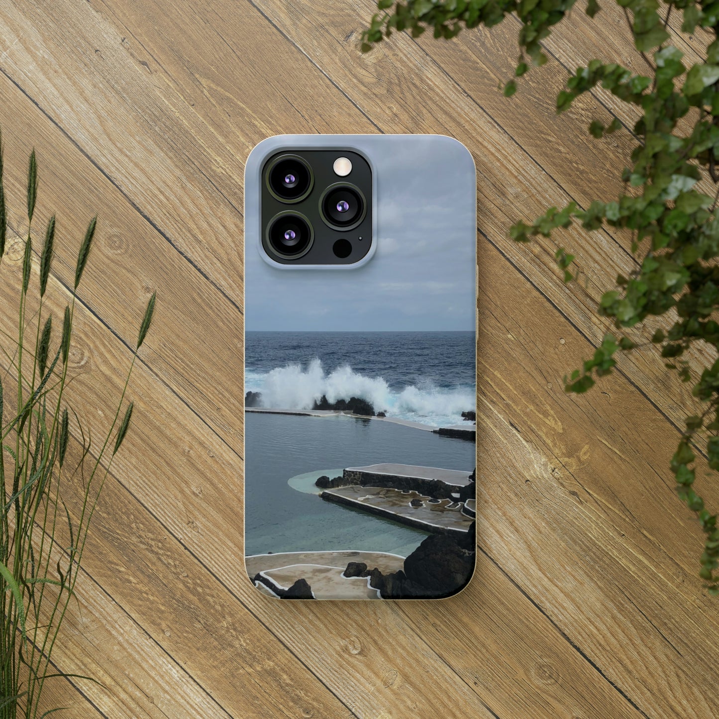 Bio-Cases, Volcanic Pools2-Madeira Portugal