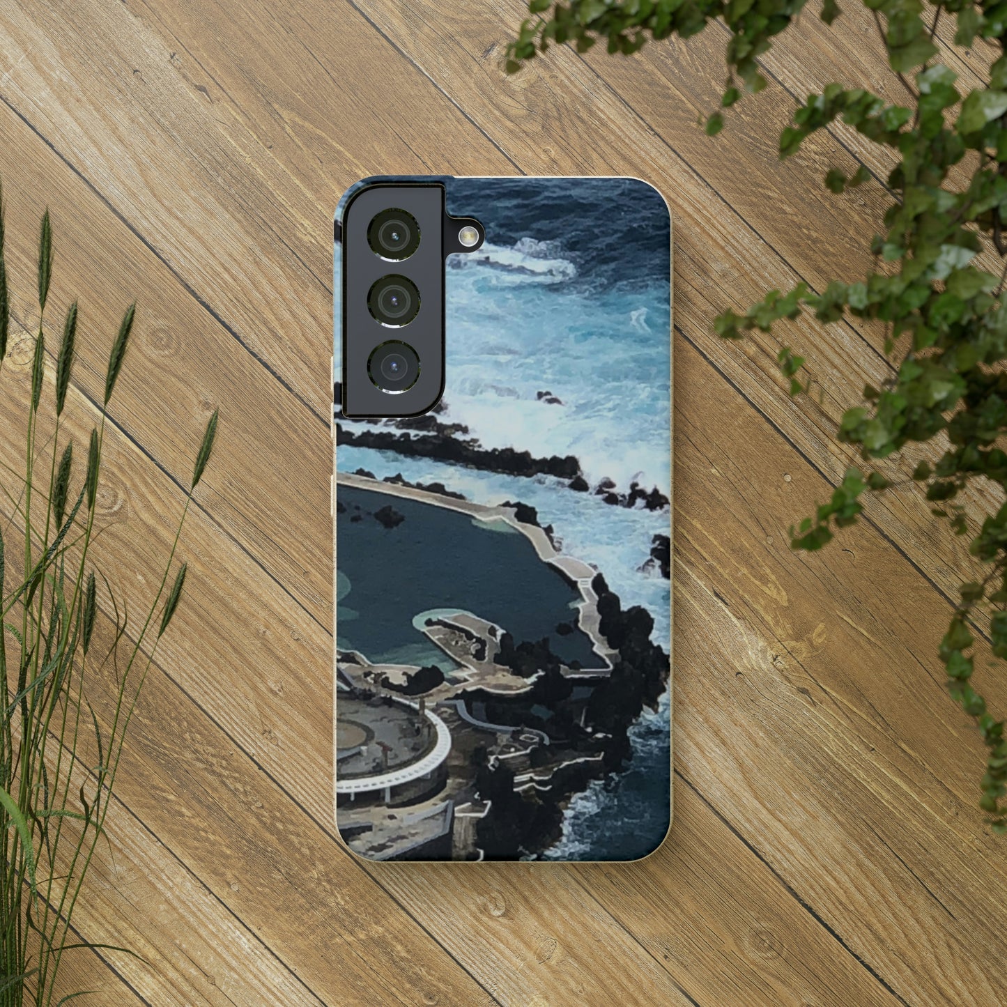 Bio-Cases, Volcanic Pools-Madeira Portugal