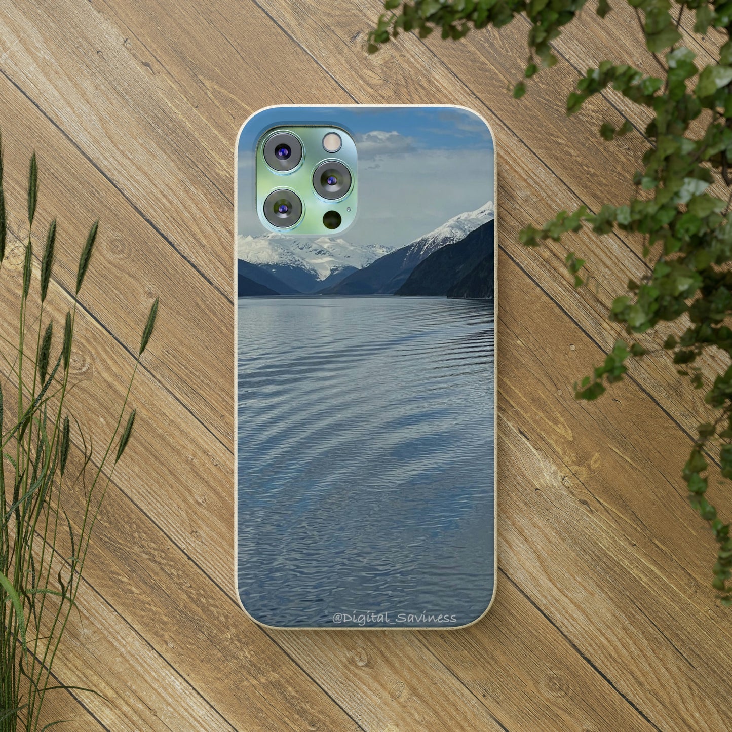 Bio-Cases, Icy Strait Alaska