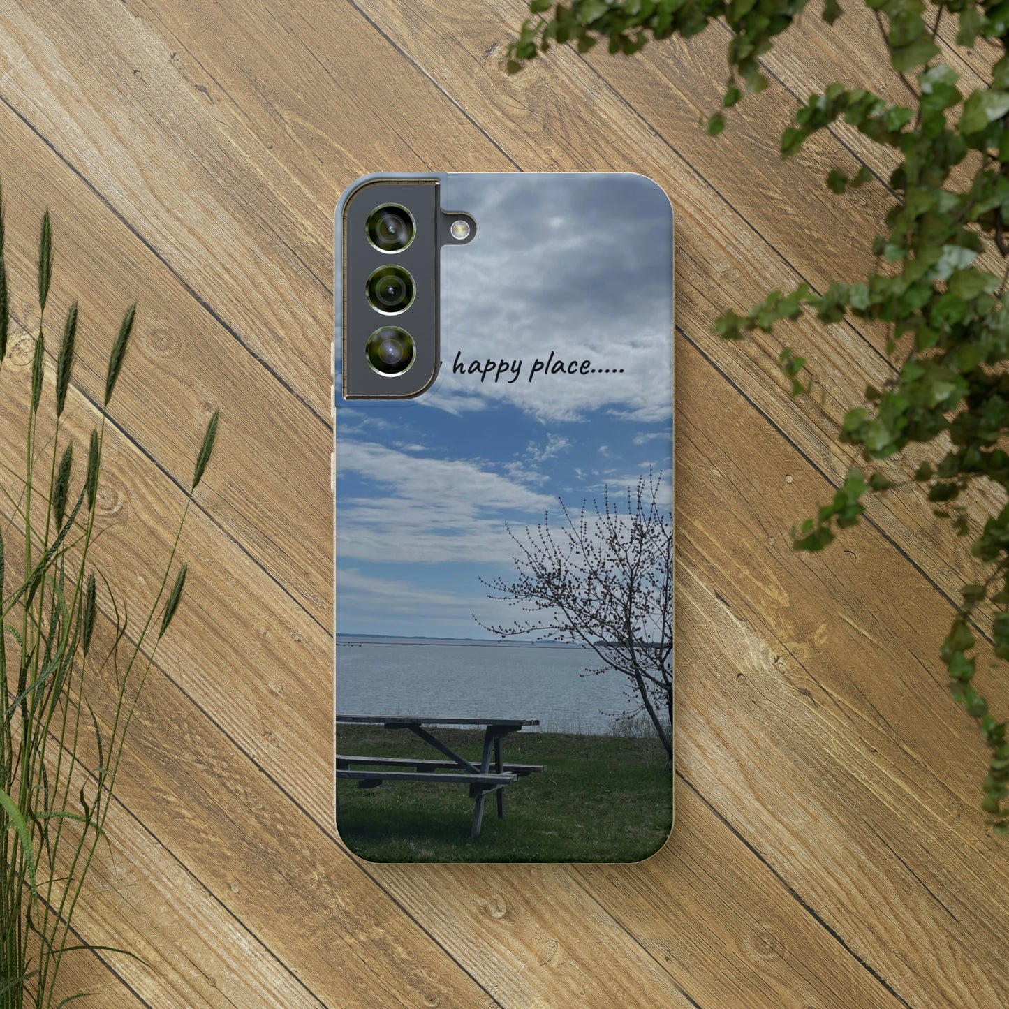 Bio-Cases, Bench by the Sea
